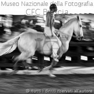 Bruno Faglia-Rodeo jpg.